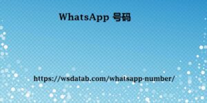 WhatsApp 号码